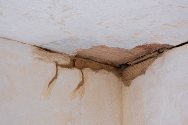 Best Sewage cleanup and water damage restoration  in Brazoria, TX