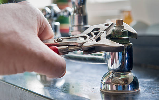 Best Professional water damage repair  in Brazoria, TX