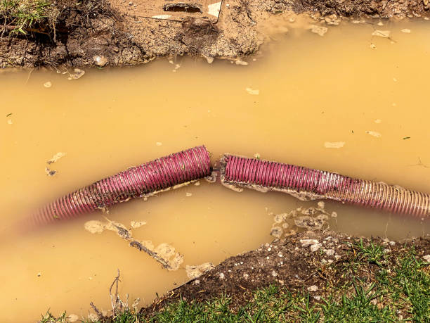 Best Water damage restoration insurance claims  in Brazoria, TX