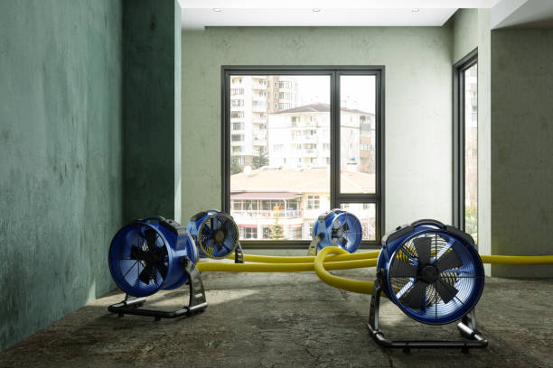 Best Flood restoration services  in Brazoria, TX