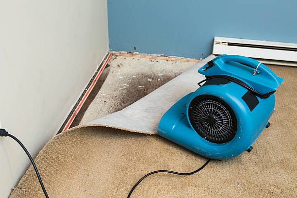 Best 24/7 water damage repair  in Brazoria, TX